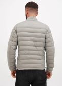 Легкий пуховик чоловічий Kaiser свiтло-сiрий