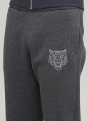 Штани-джогери чоловічі зимові Only Man графітові зі сріблястим тигром (високий зріст)