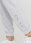 Штани-джогери чоловічі лiтні Only Man світло-сірі з сірою вишивкою знизу (низький зріст)