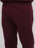 Штани-джогери чоловічі зимові Only Мan сливові (високий зріст)
