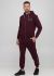 Брюки-джоггеры мужские зимние Only Man сливовые (низкий рост)