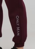 Штани-джогери чоловічі зимові Only Man сливові (низький зріст)